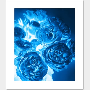 Cyanotype Photography Blue Roses Alternative Process Posters and Art